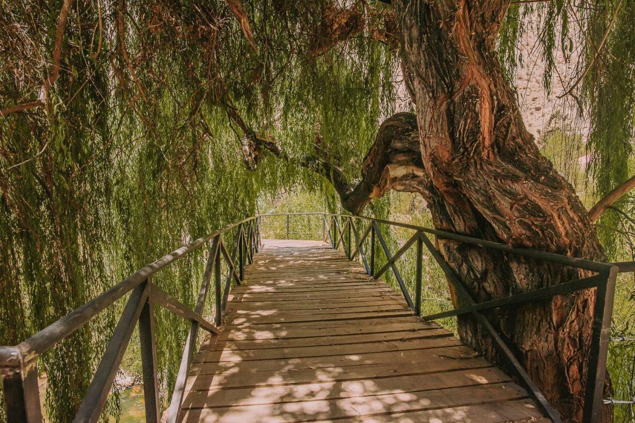 Hotel Vivelo Elqui Landscape Horcón Εξωτερικό φωτογραφία