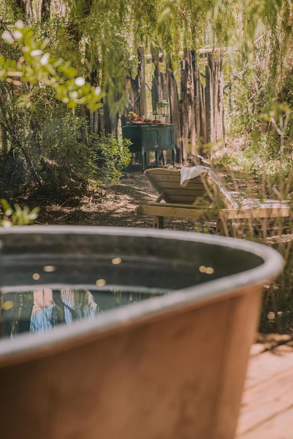 Hotel Vivelo Elqui Landscape Horcón Εξωτερικό φωτογραφία